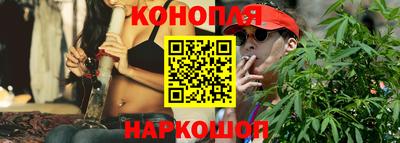 шишки Гусиноозёрск