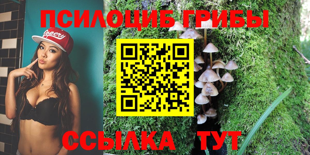 Новочеркасск  Галлюциногенные грибы мицелий  Вход с VPN 